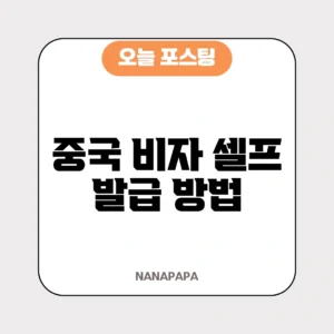 중국 비자