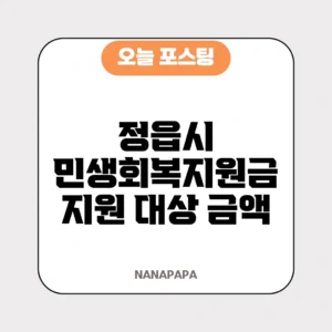 정읍시 민생회복지원금