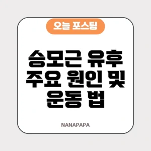 승모근 유후